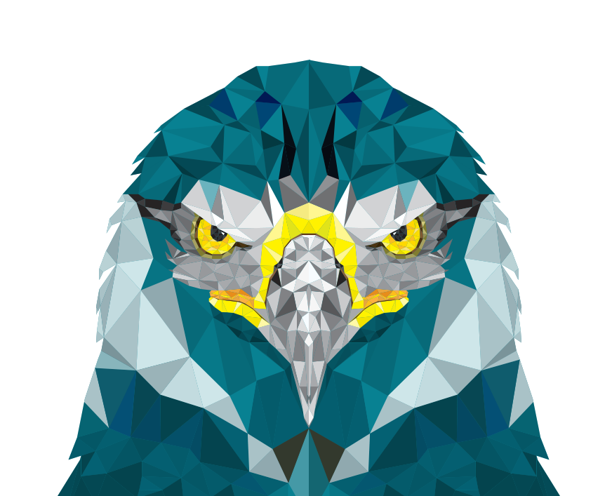 Falcon illustration